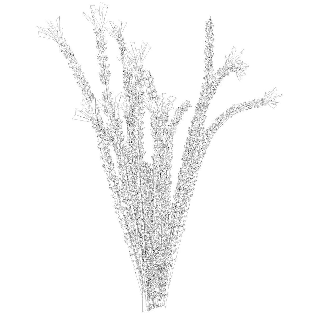 Ocotillo Plant 3D Model – Photorealistic Game Asset, FBX - View 3