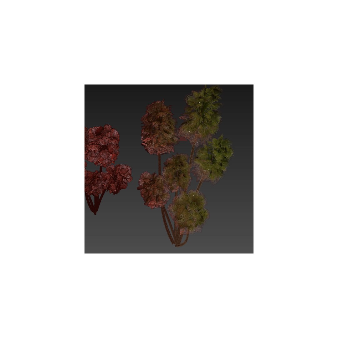Acoelorrhaphe Wrightii 3D Model – PBR Palm Plant, FBX, Game Ready