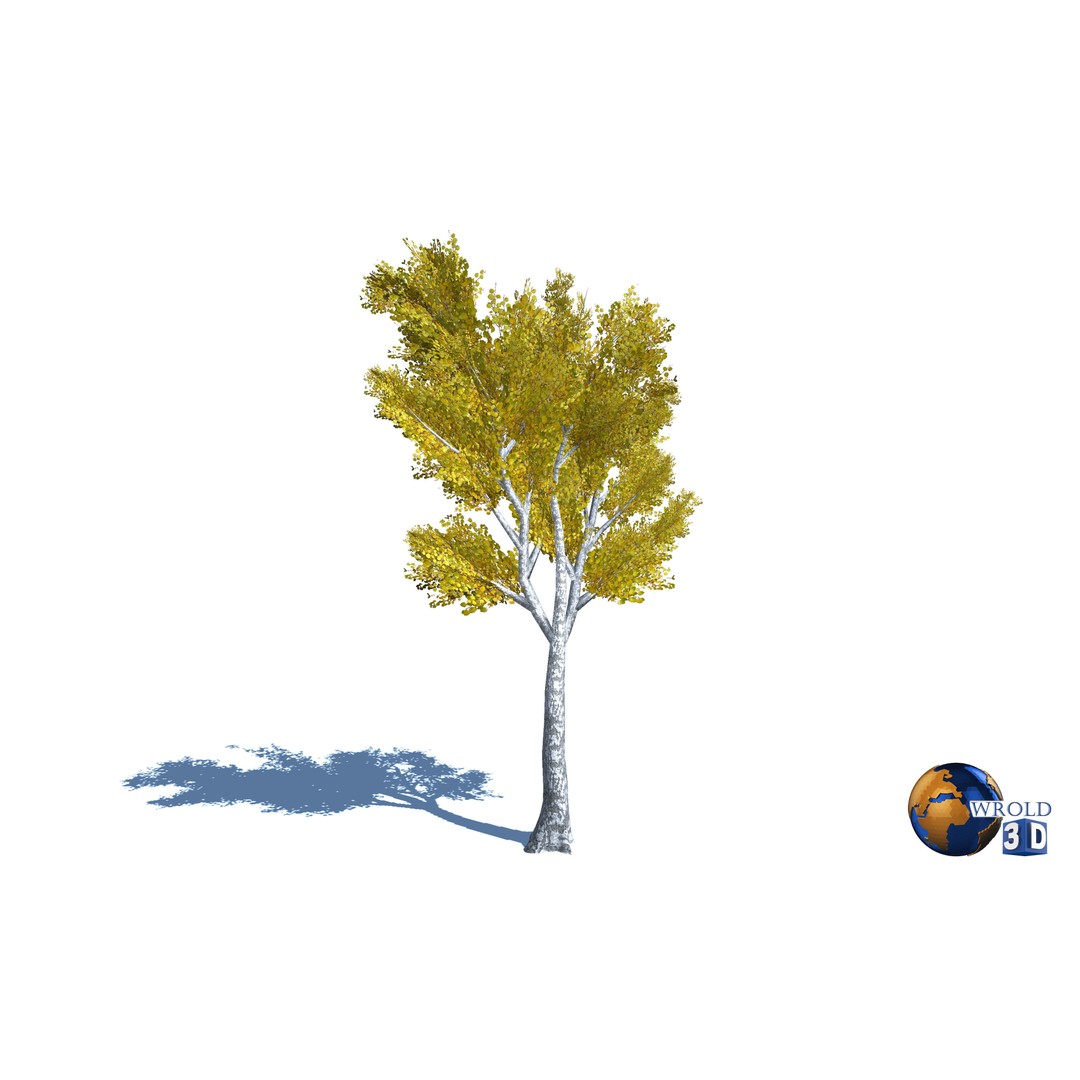 Natural Forest Trees Mega Pack 3D Model – Low Poly Game Asset, PBR Textures