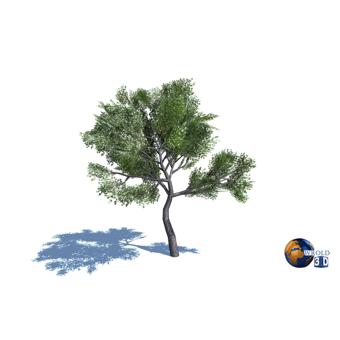 Natural Forest Trees Mega Pack 3D Model – Low Poly Game Asset, PBR Textures - View 10