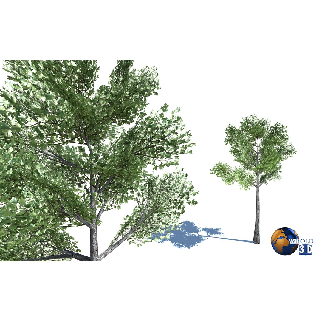 Natural Forest Trees Mega Pack 3D Model – Low Poly Game Asset, PBR Textures - View 11