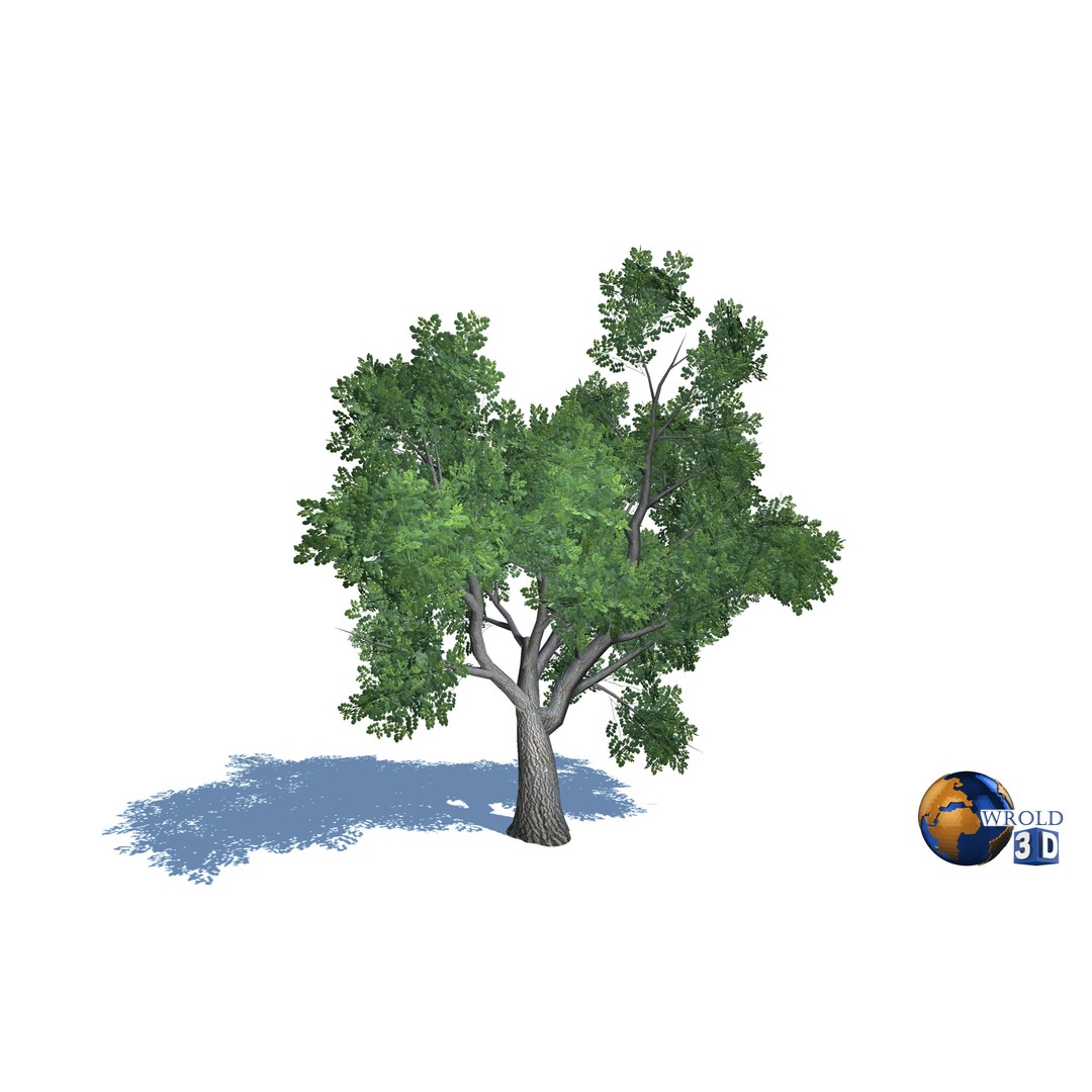 Natural Forest Trees Mega Pack 3D Model – Low Poly Game Asset, PBR Textures - View 12