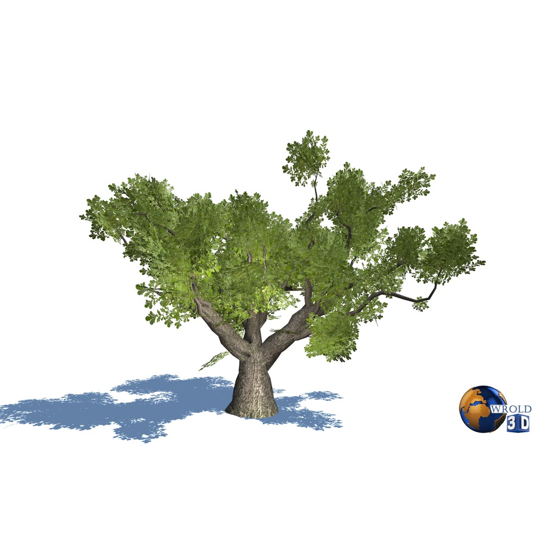 Natural Forest Trees Mega Pack 3D Model – Low Poly Game Asset, PBR Textures - View 13