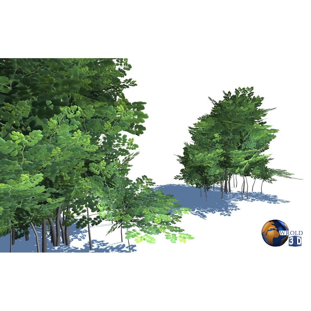 Natural Forest Trees Mega Pack 3D Model – Low Poly Game Asset, PBR Textures - View 14