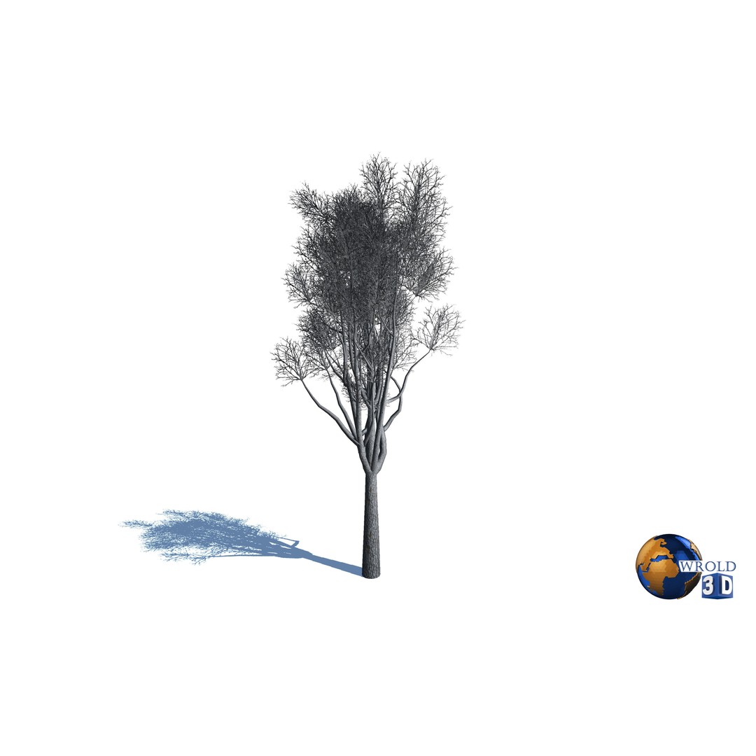 Natural Forest Trees Mega Pack 3D Model – Low Poly Game Asset, PBR Textures - View 15