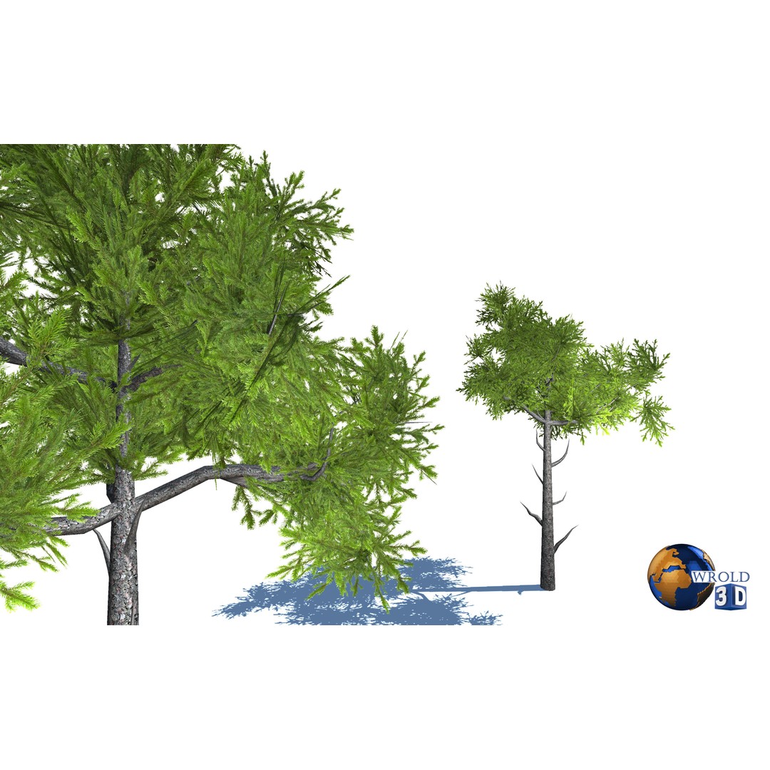 Natural Forest Trees Mega Pack 3D Model – Low Poly Game Asset, PBR Textures - View 17