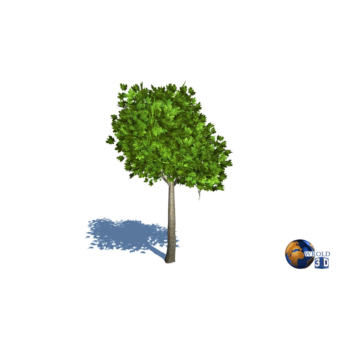 Natural Forest Trees Mega Pack 3D Model – Low Poly Game Asset, PBR Textures - View 18