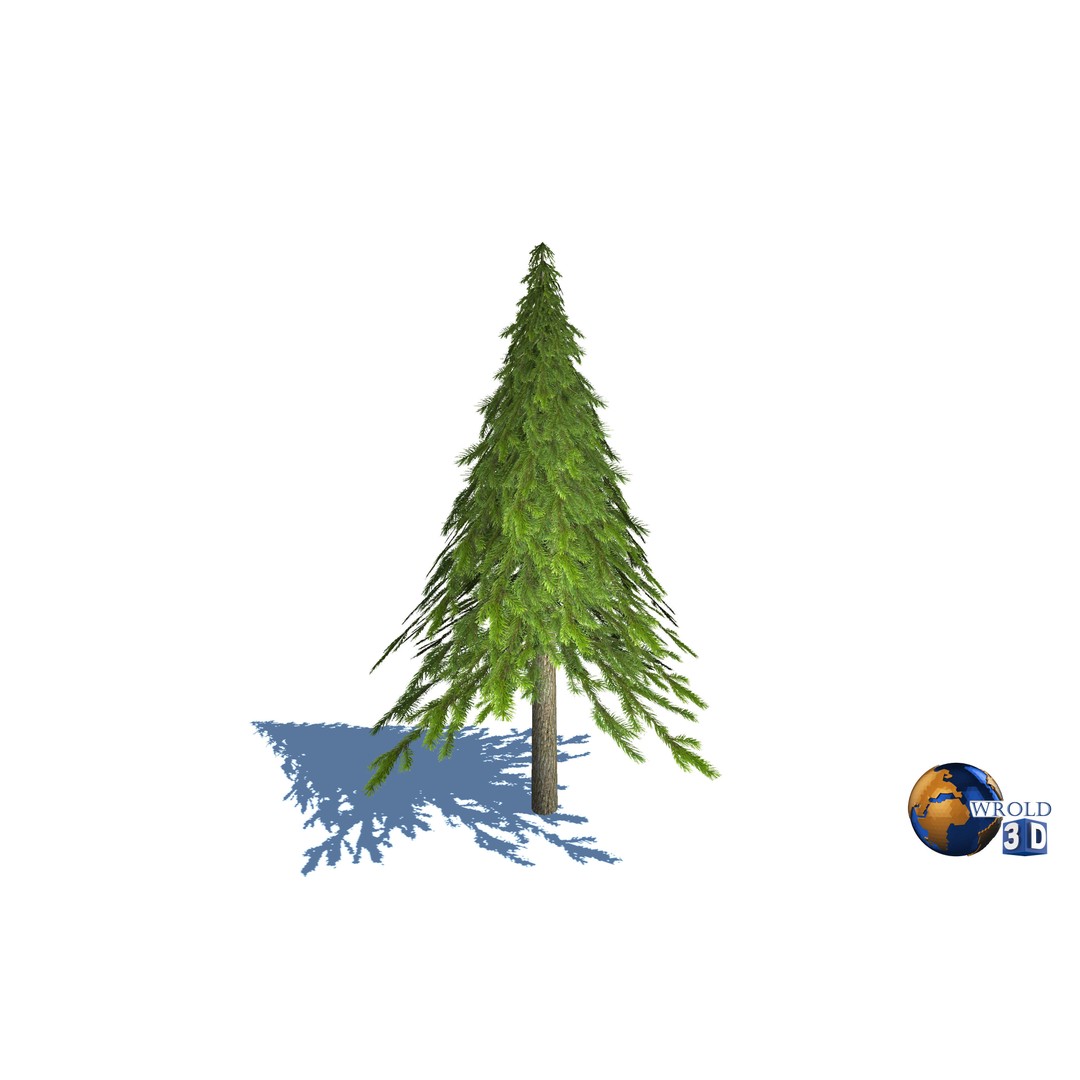 Natural Forest Trees Mega Pack 3D Model – Low Poly Game Asset, PBR Textures - View 19