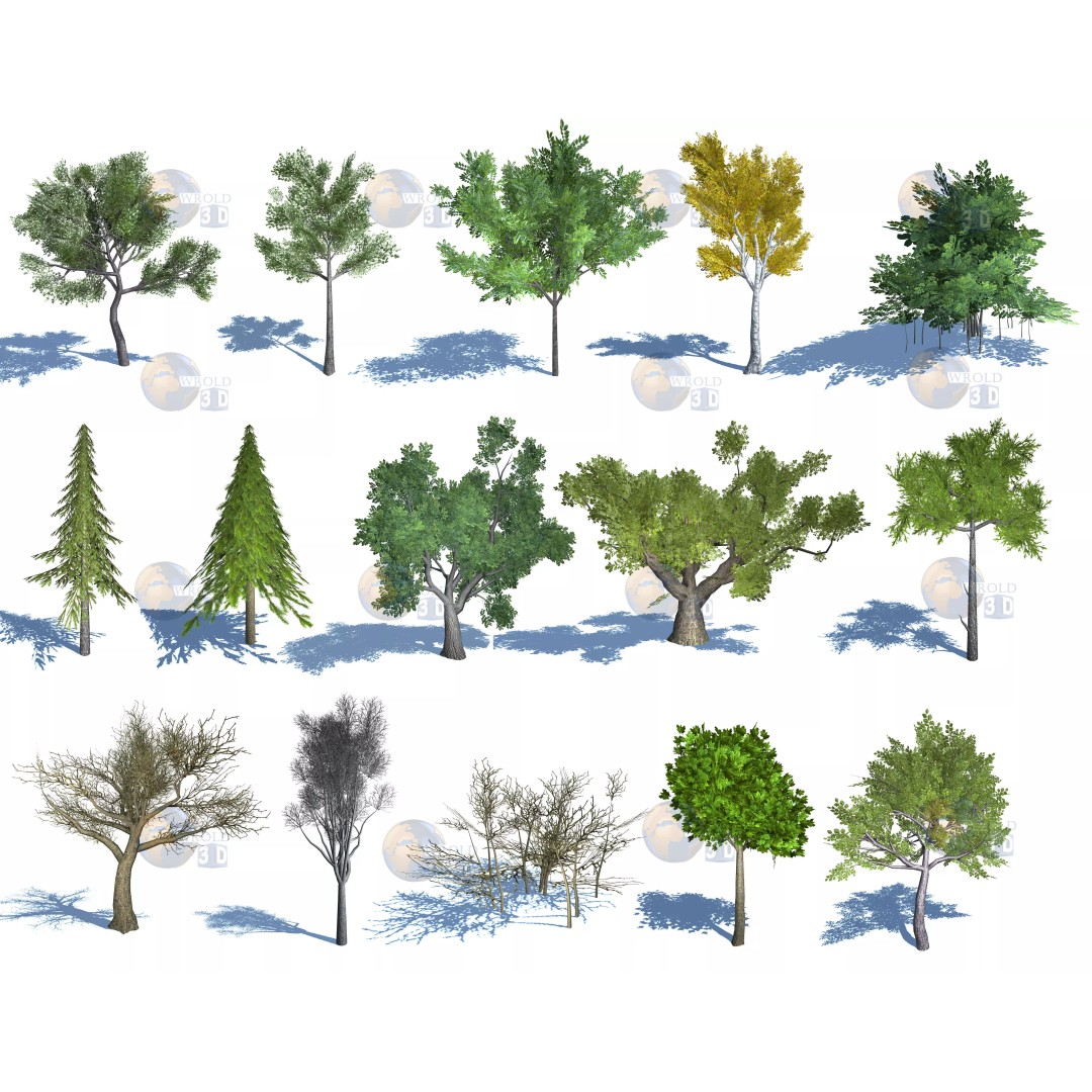 Natural Forest Trees Mega Pack 3D Model – Low Poly Game Asset, PBR Textures - View 2