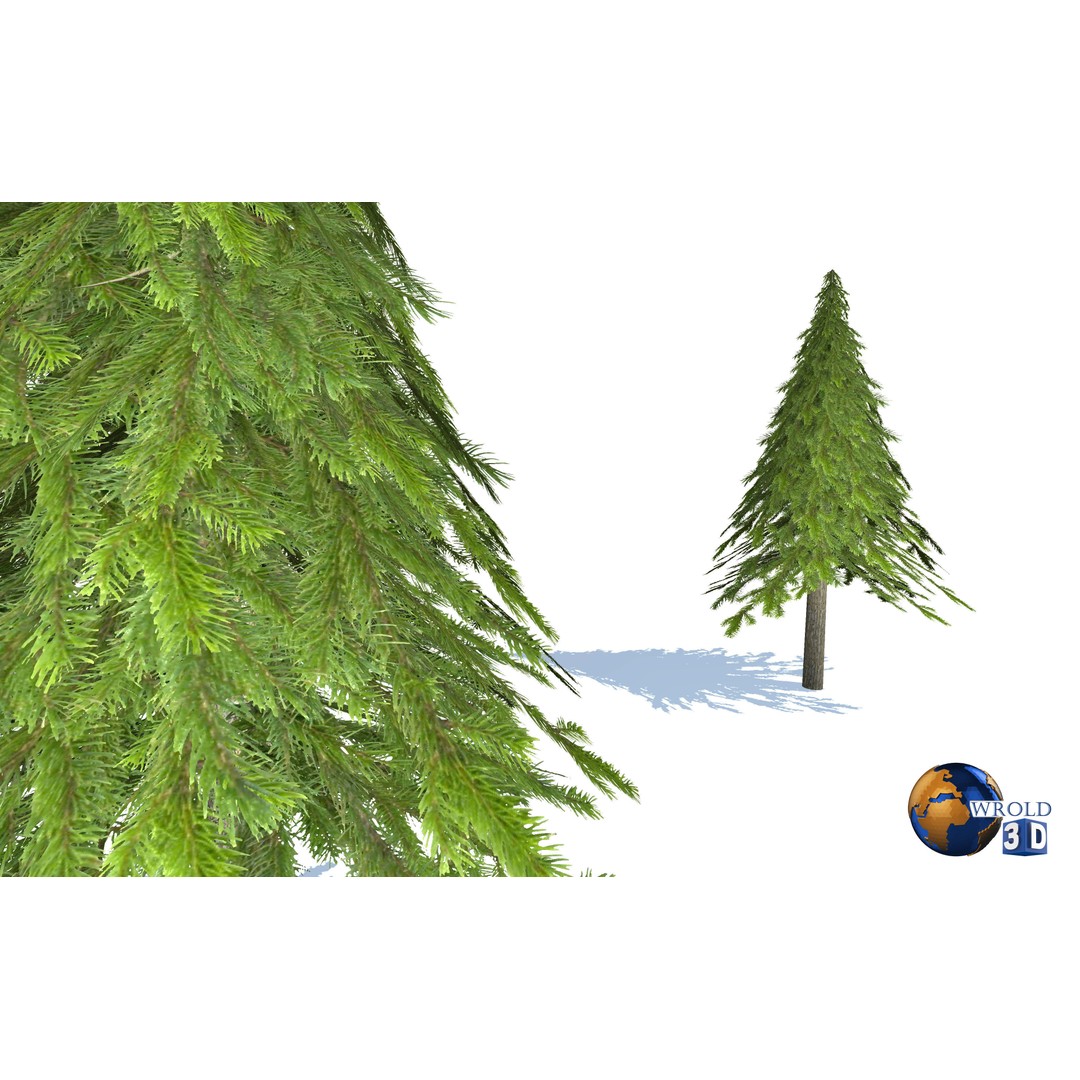 Natural Forest Trees Mega Pack 3D Model – Low Poly Game Asset, PBR Textures - View 20