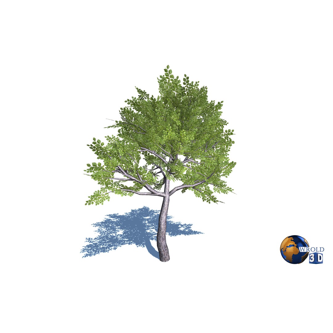 Natural Forest Trees Mega Pack 3D Model – Low Poly Game Asset, PBR Textures - View 21