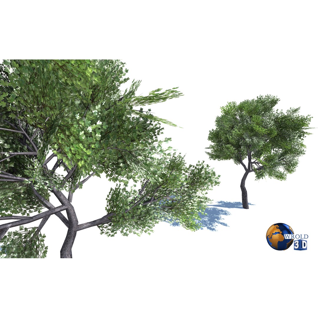 Natural Forest Trees Mega Pack 3D Model – Low Poly Game Asset, PBR Textures - View 22