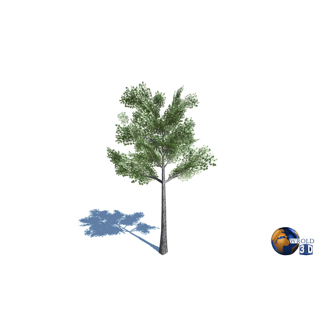 Natural Forest Trees Mega Pack 3D Model – Low Poly Game Asset, PBR Textures - View 23