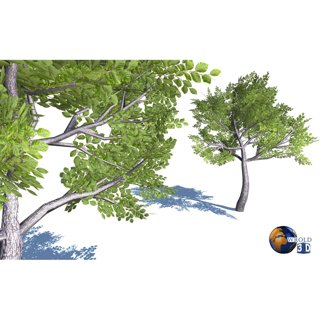 Natural Forest Trees Mega Pack 3D Model – Low Poly Game Asset, PBR Textures - View 3