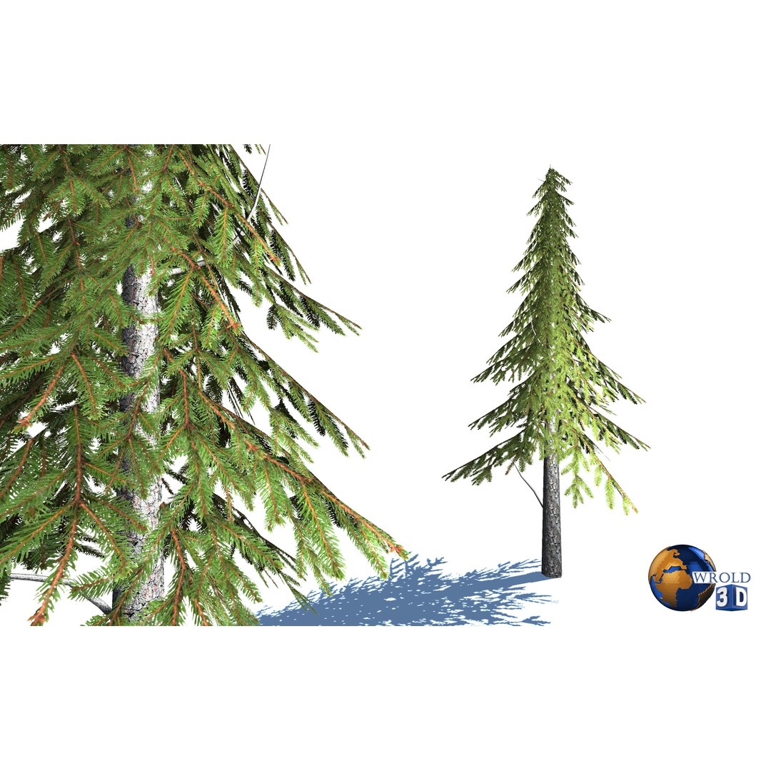 Natural Forest Trees Mega Pack 3D Model – Low Poly Game Asset, PBR Textures - View 4