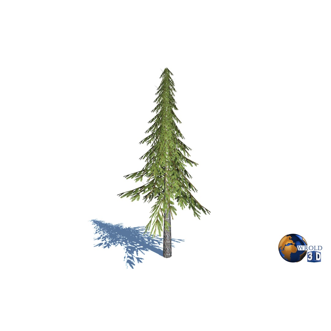 Natural Forest Trees Mega Pack 3D Model – Low Poly Game Asset, PBR Textures - View 5