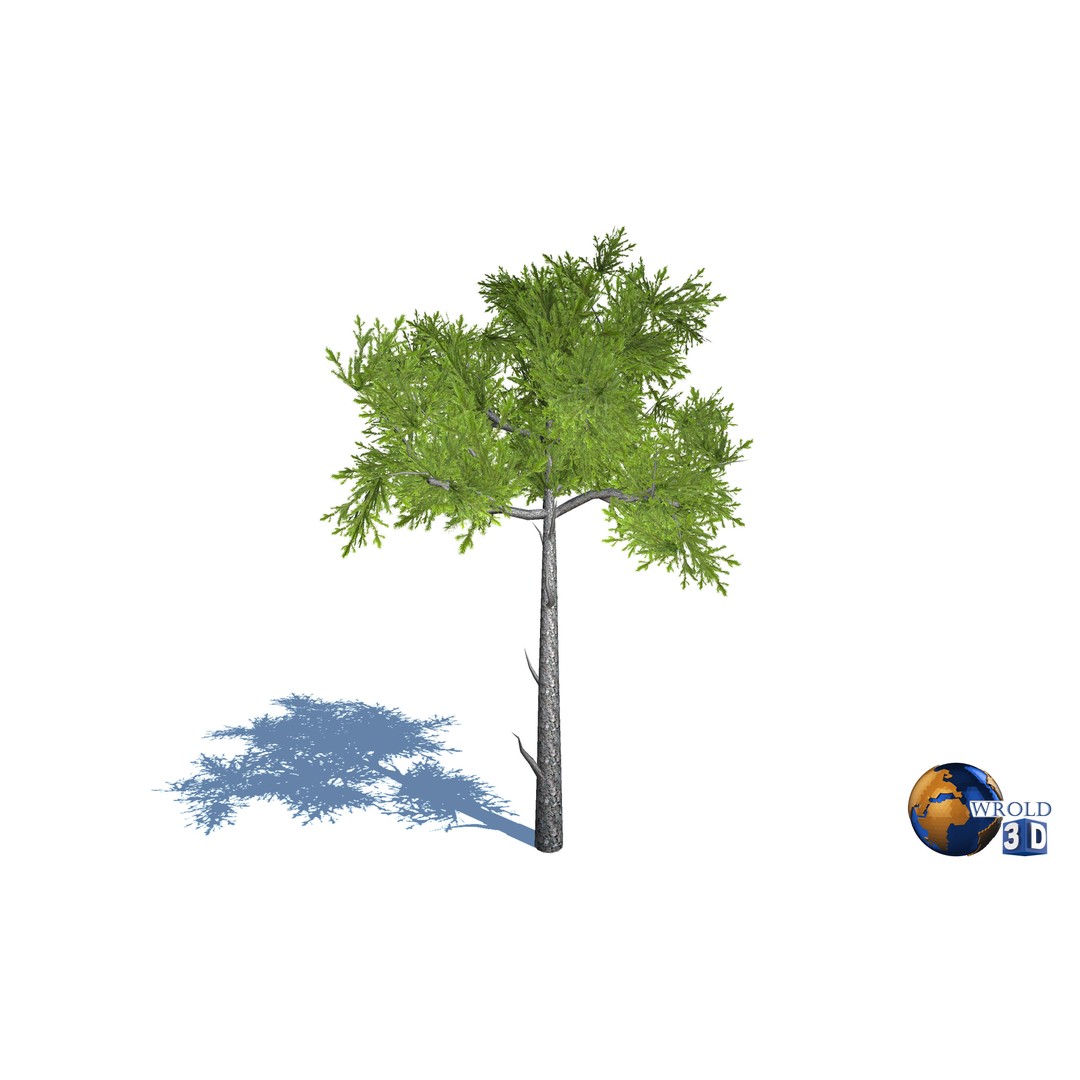 Natural Forest Trees Mega Pack 3D Model – Low Poly Game Asset, PBR Textures - View 6