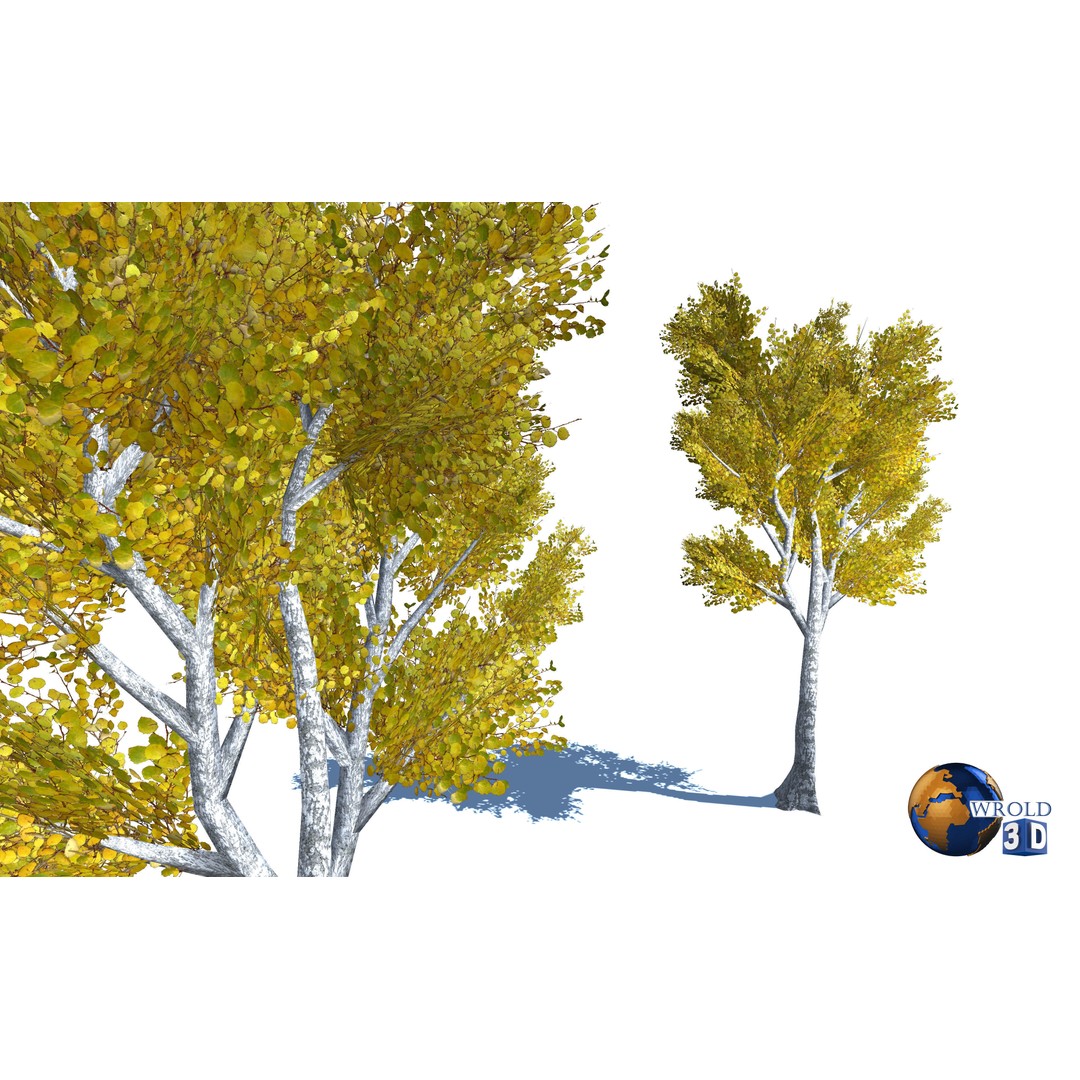 Natural Forest Trees Mega Pack 3D Model – Low Poly Game Asset, PBR Textures - View 7