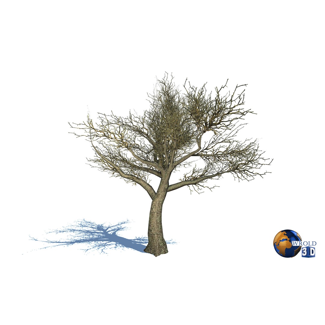 Natural Forest Trees Mega Pack 3D Model – Low Poly Game Asset, PBR Textures - View 8