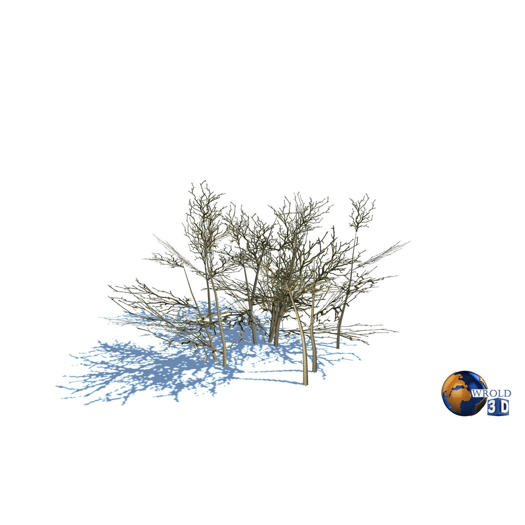 Natural Forest Trees Mega Pack 3D Model – Low Poly Game Asset, PBR Textures - View 9