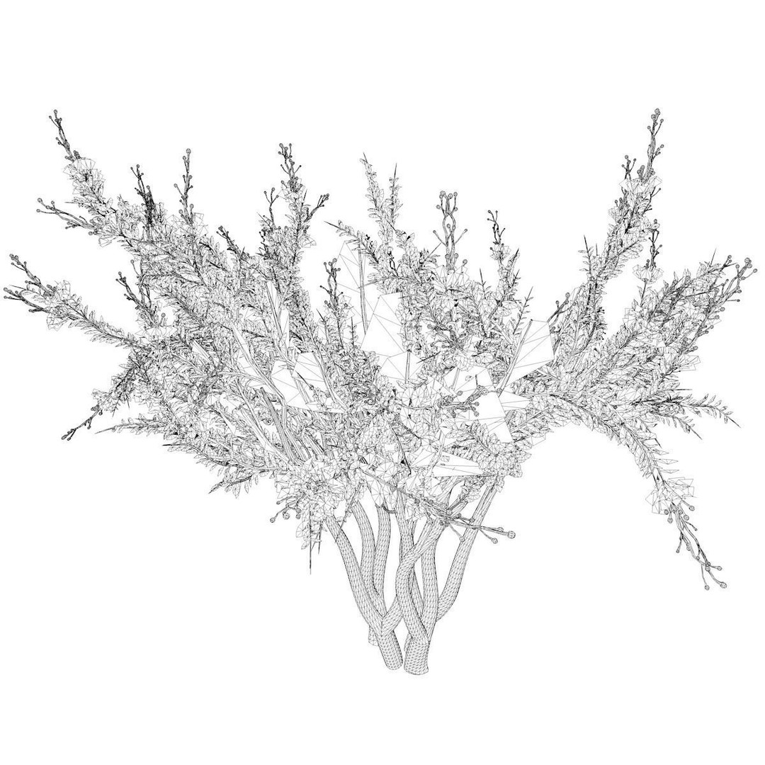 Crape Myrtle Tree 3D Model – Photorealistic Plant Asset, FBX & OBJ - View 3