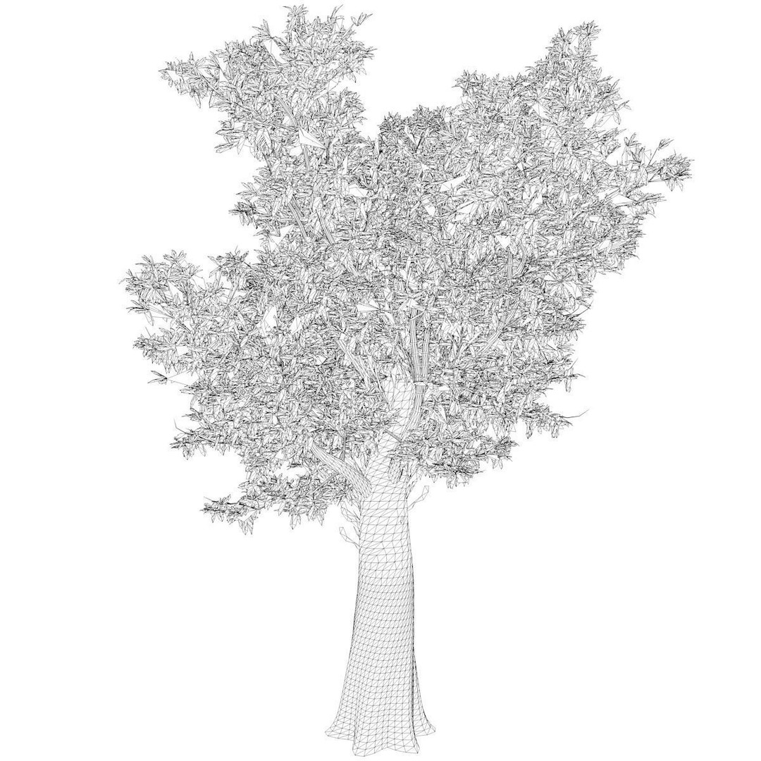 Red Gum Tree 3D Model – Photorealistic Plant Asset, FBX & OBJ - View 3