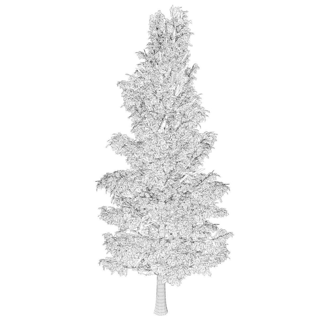 American Holly Tree 3D Model – Photorealistic Vegetation Asset, FBX - View 3