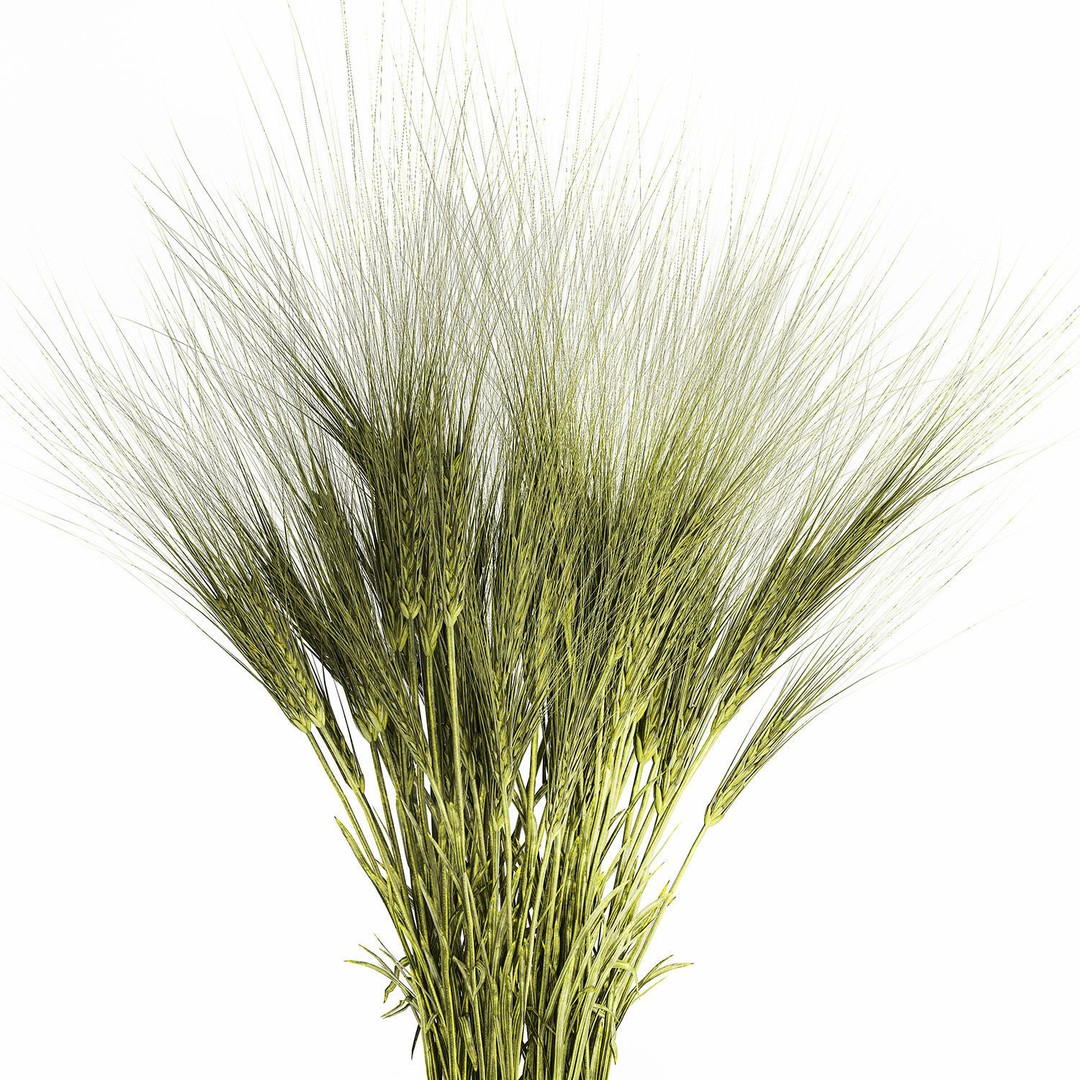 Bouquet of Wildflowers 3D Model – Modern Green Wheat Arrangement, FBX - View 12