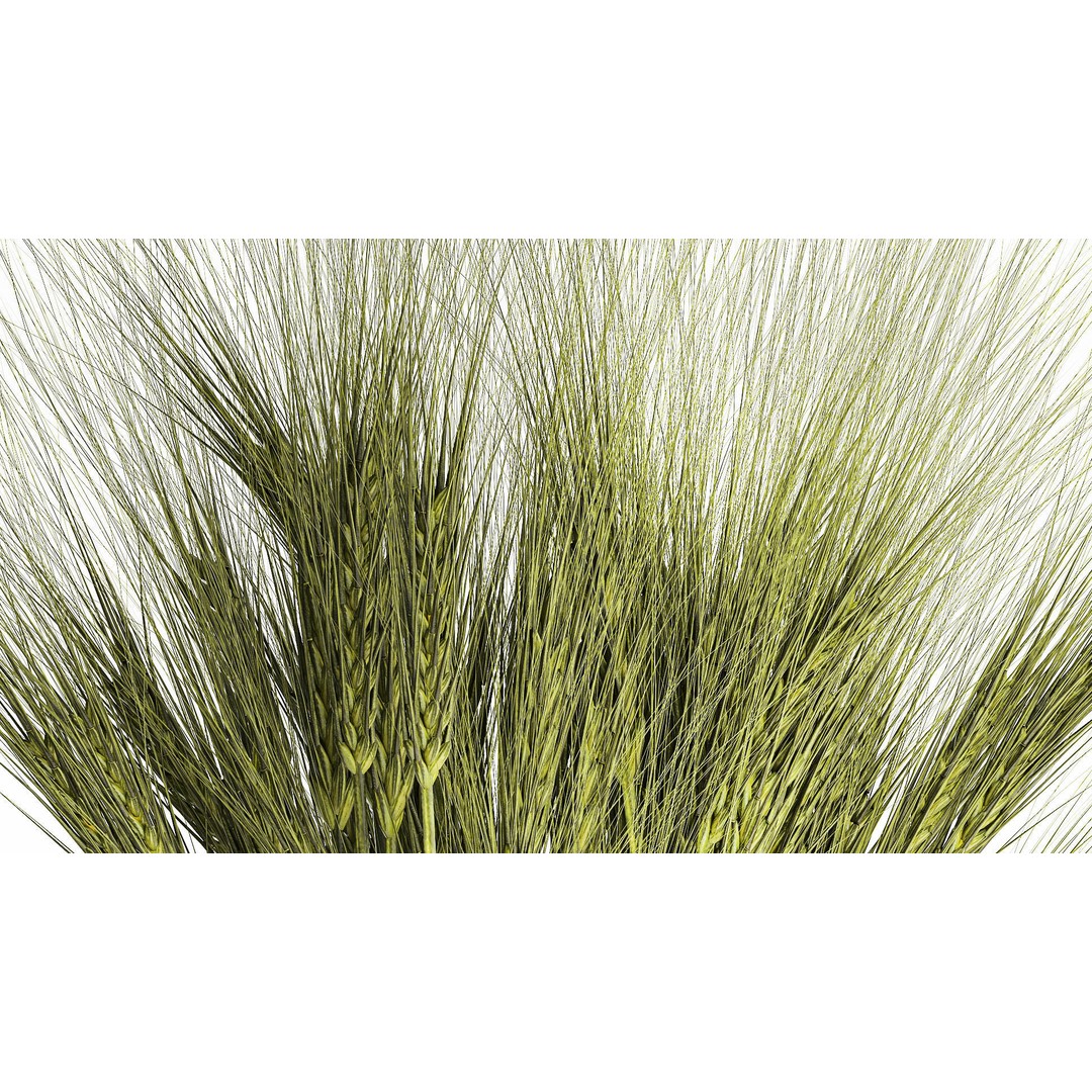 Bouquet of Wildflowers 3D Model – Modern Green Wheat Arrangement, FBX - View 4