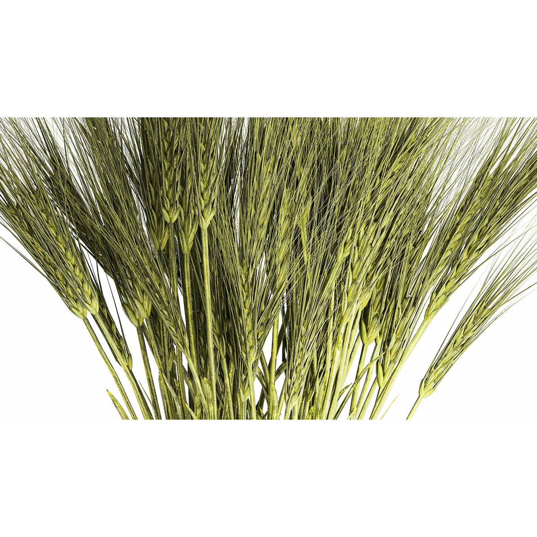 Bouquet of Wildflowers 3D Model – Modern Green Wheat Arrangement, FBX - View 6