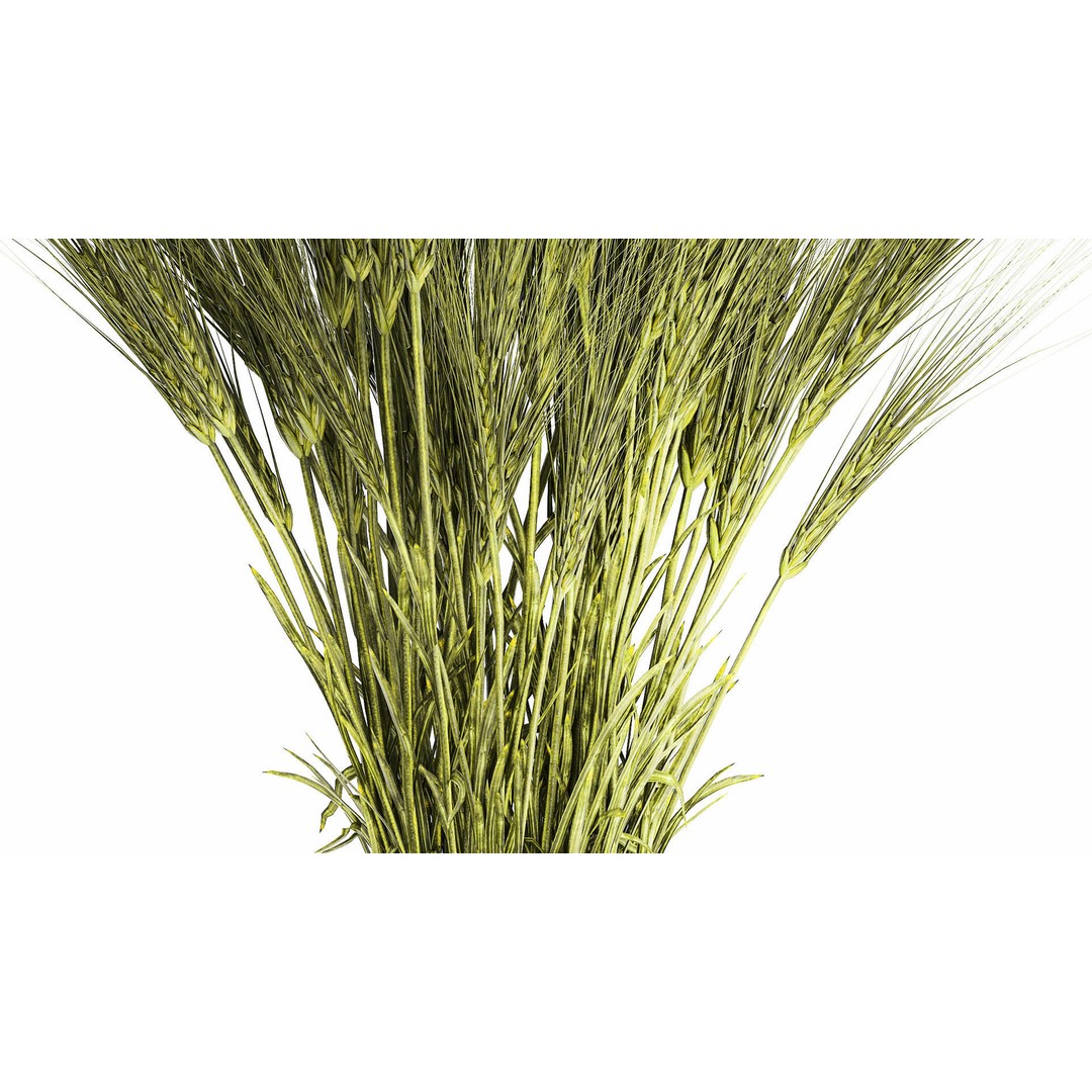 Bouquet of Wildflowers 3D Model – Modern Green Wheat Arrangement, FBX - View 7
