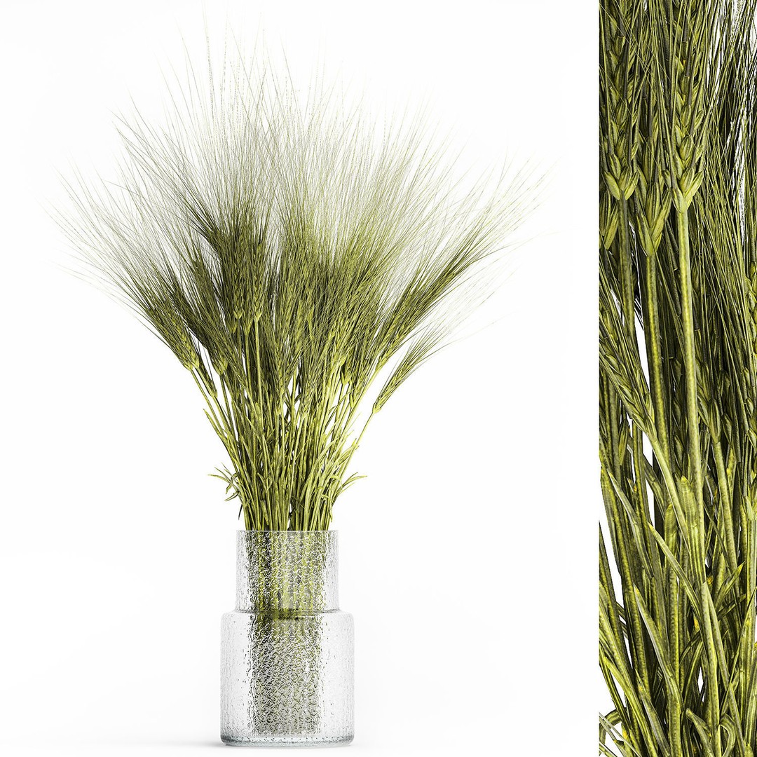 Bouquet of Wildflowers 3D Model – Modern Green Wheat Arrangement, FBX - View 8