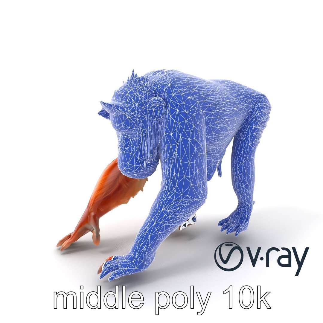 Orangutan 3D Model – Low Poly Explorer Pack, FBX, Game Ready - View 10