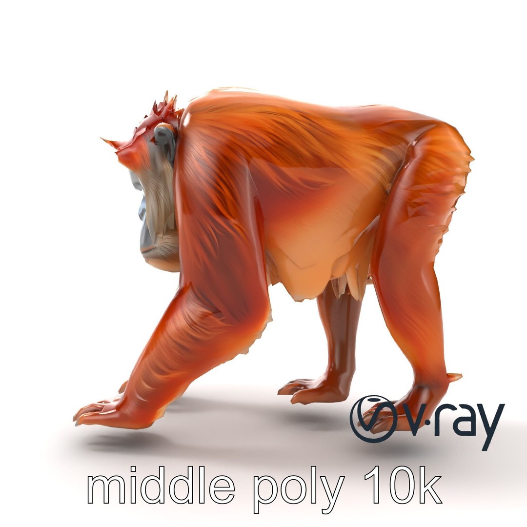 Orangutan 3D Model – Low Poly Explorer Pack, FBX, Game Ready - View 13