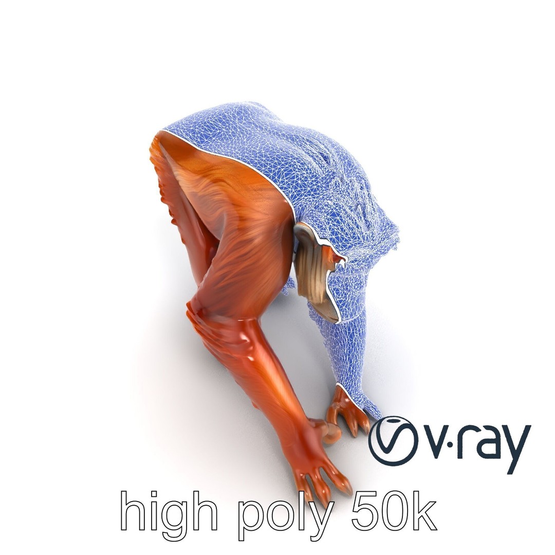 Orangutan 3D Model – Low Poly Explorer Pack, FBX, Game Ready - View 14