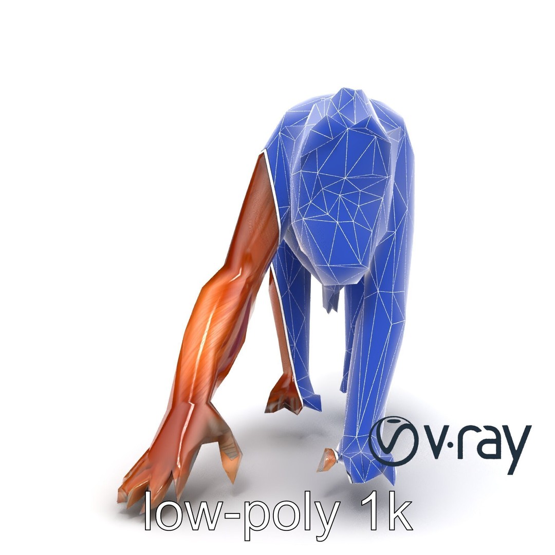 Orangutan 3D Model – Low Poly Explorer Pack, FBX, Game Ready - View 15
