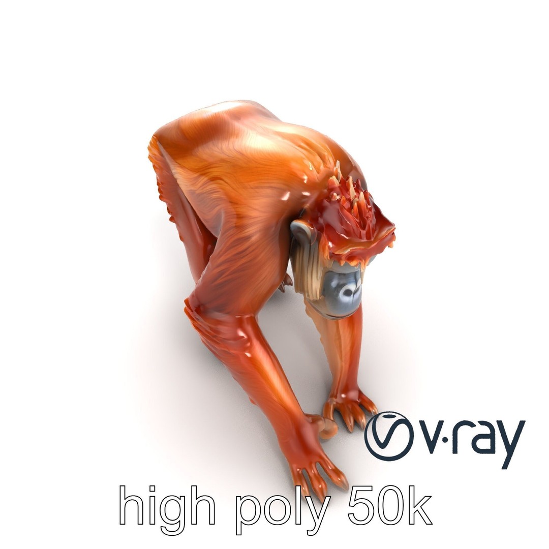 Orangutan 3D Model – Low Poly Explorer Pack, FBX, Game Ready - View 16