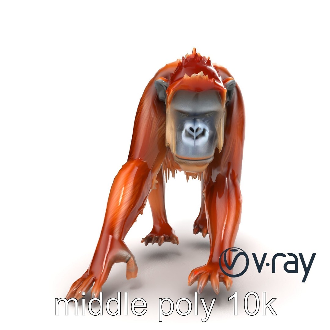 Orangutan 3D Model – Low Poly Explorer Pack, FBX, Game Ready - View 18