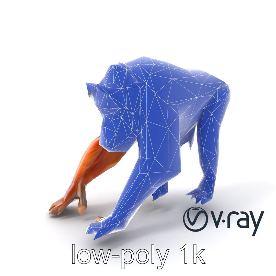 Orangutan 3D Model – Low Poly Explorer Pack, FBX, Game Ready - View 21