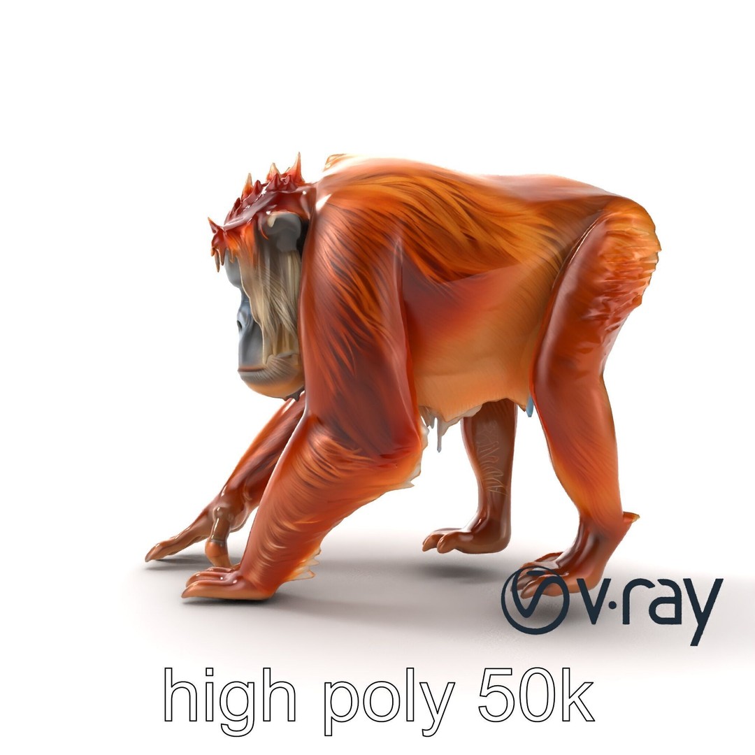 Orangutan 3D Model – Low Poly Explorer Pack, FBX, Game Ready - View 22