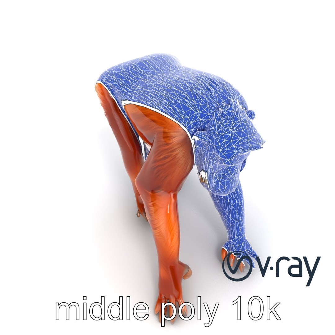 Orangutan 3D Model – Low Poly Explorer Pack, FBX, Game Ready - View 24