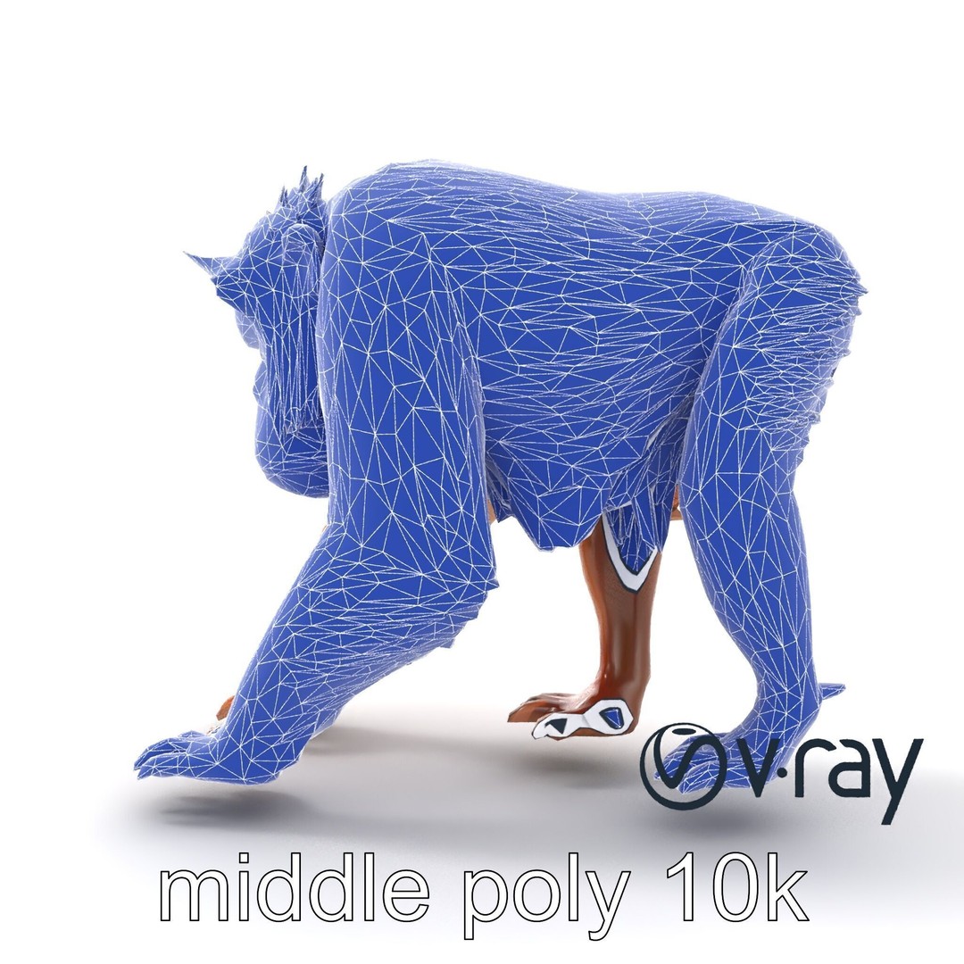Orangutan 3D Model – Low Poly Explorer Pack, FBX, Game Ready - View 29