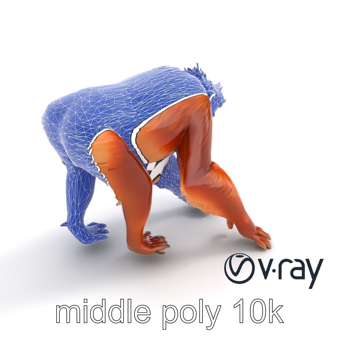 Orangutan 3D Model – Low Poly Explorer Pack, FBX, Game Ready - View 32
