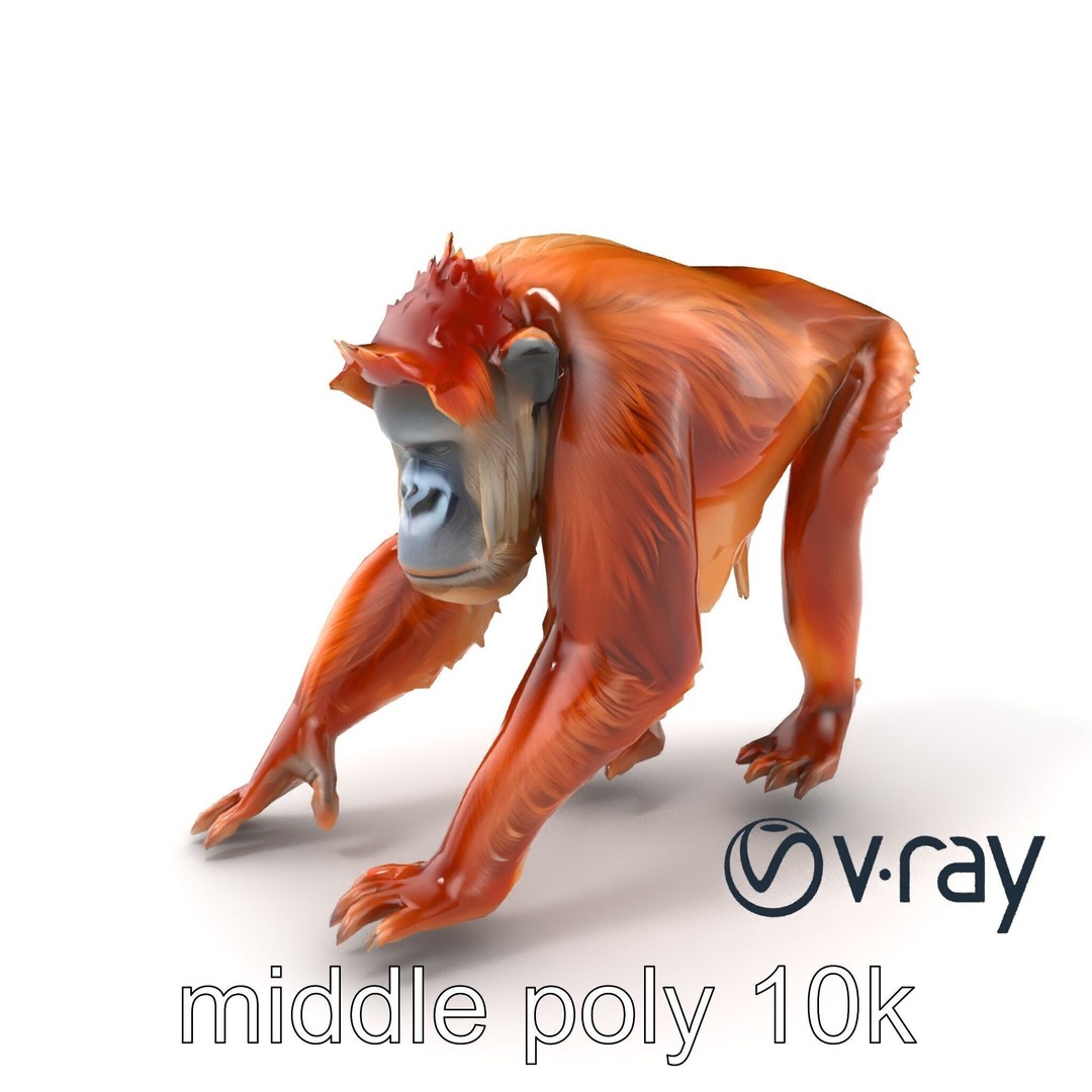 Orangutan 3D Model – Low Poly Explorer Pack, FBX, Game Ready - View 4