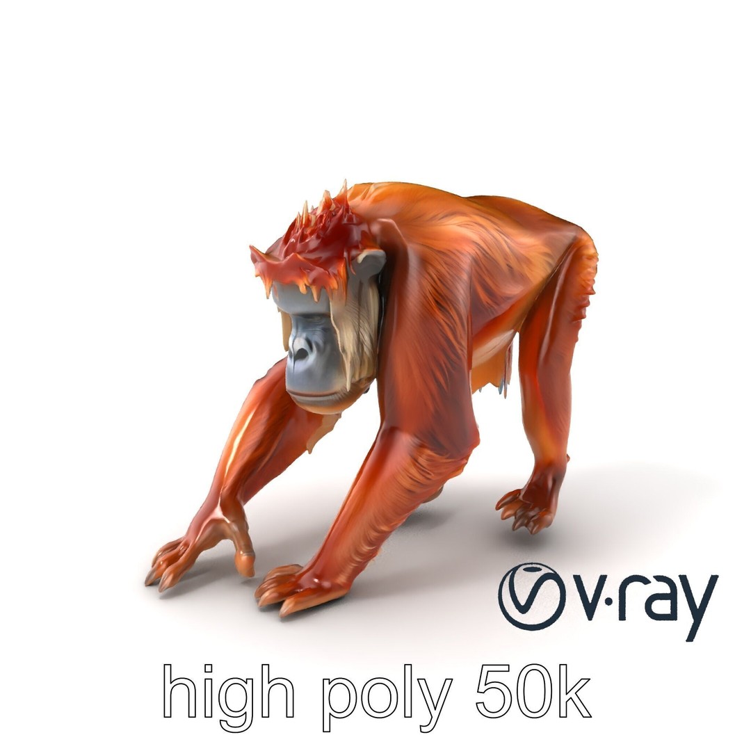 Orangutan 3D Model – Low Poly Explorer Pack, FBX, Game Ready - View 6