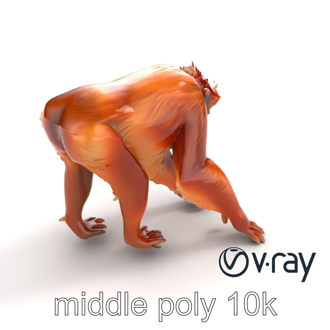 Orangutan 3D Model – Low Poly Explorer Pack, FBX, Game Ready - View 7