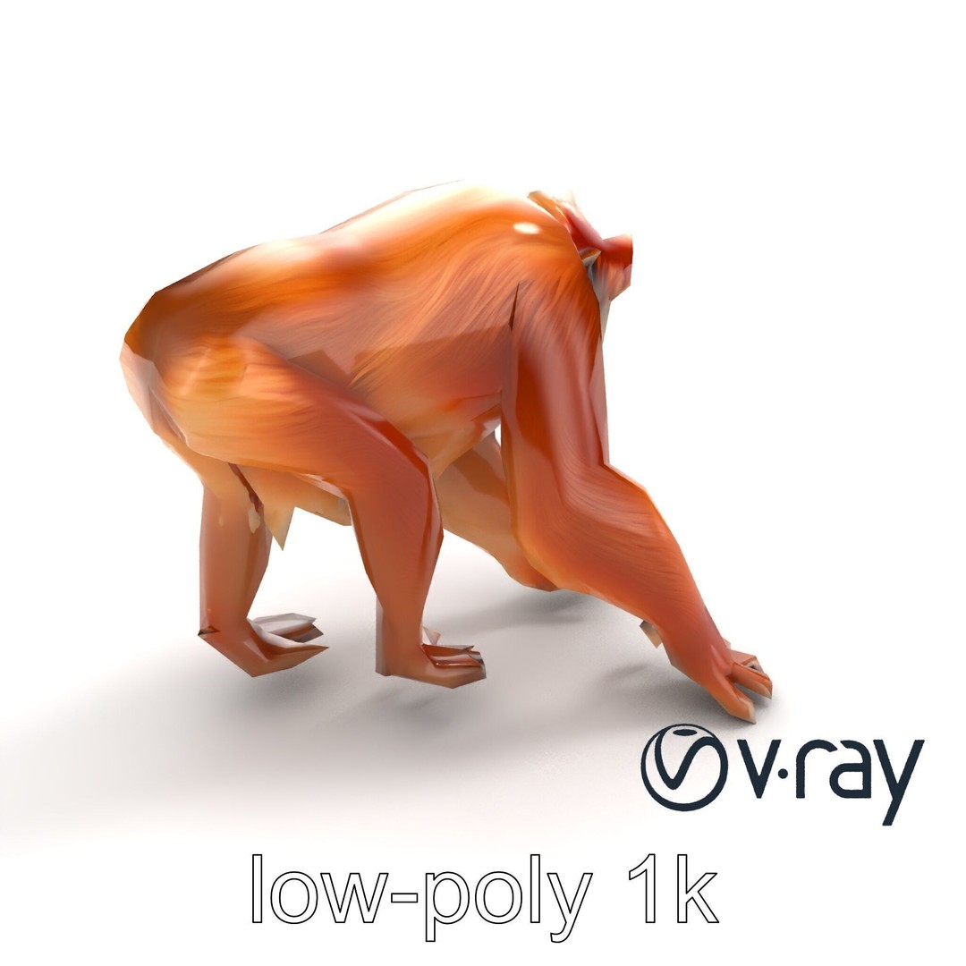 Orangutan 3D Model – Low Poly Explorer Pack, FBX, Game Ready - View 8