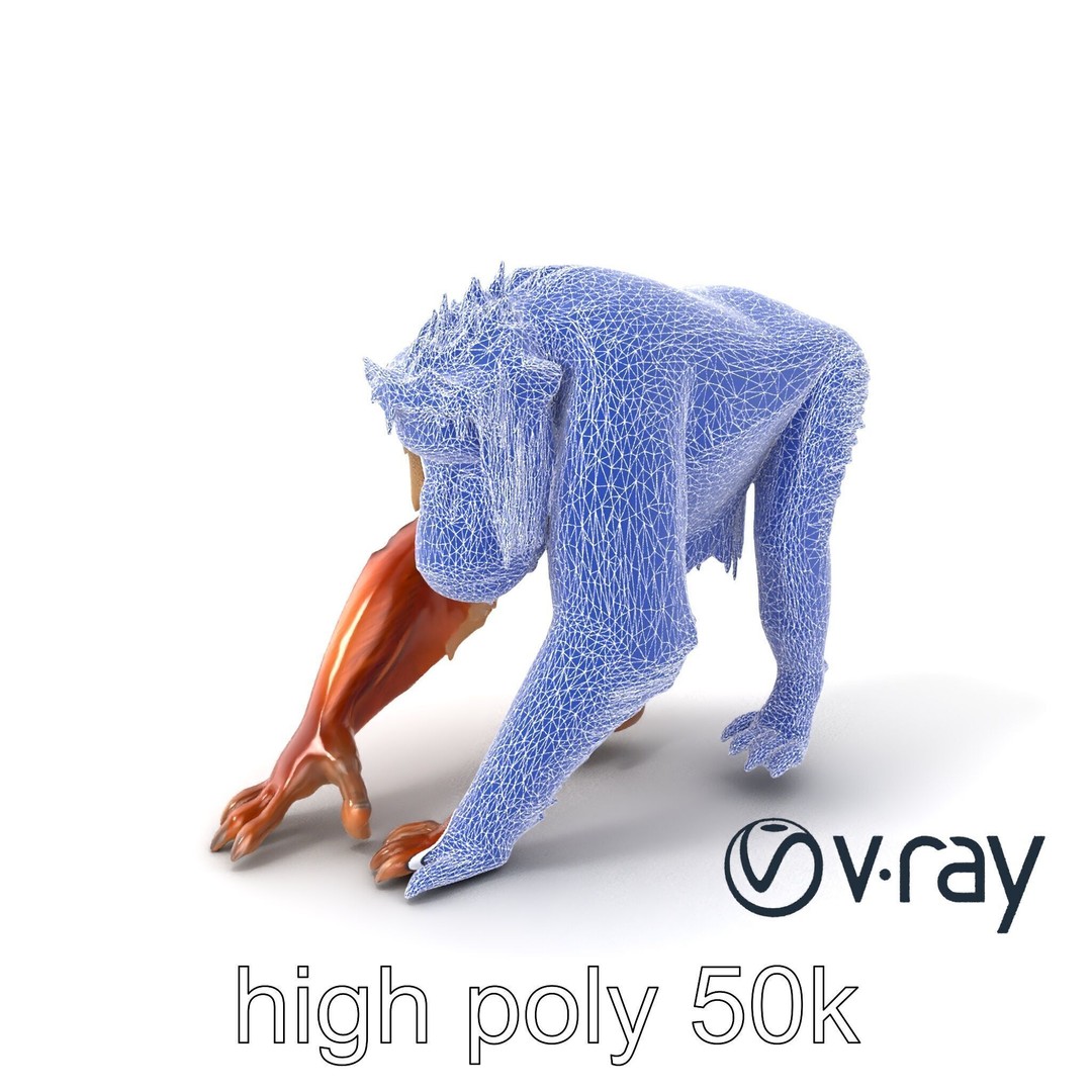 Orangutan 3D Model – Low Poly Explorer Pack, FBX, Game Ready - View 9