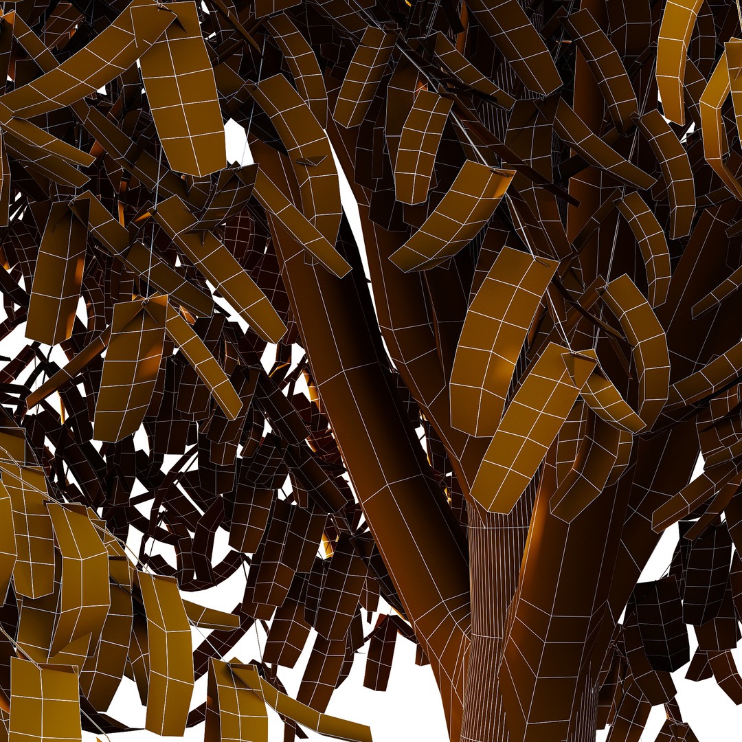 Cinnamomum Burmannii Tree 3D Model – High Poly PBR Asset, FBX, OBJ