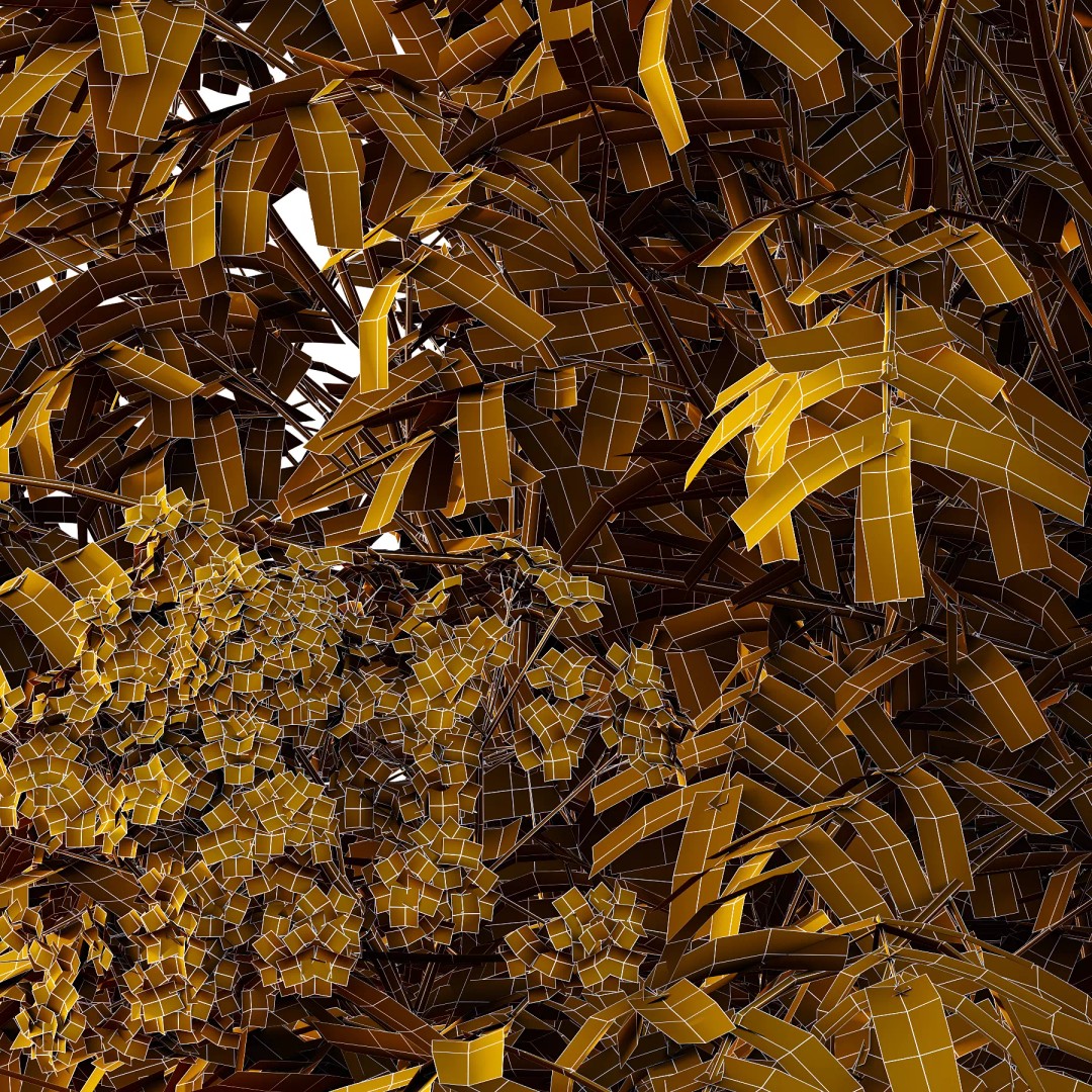 Sambucus nigra Tree 3D Model – Realistic PBR Asset, FBX and OBJ Formats